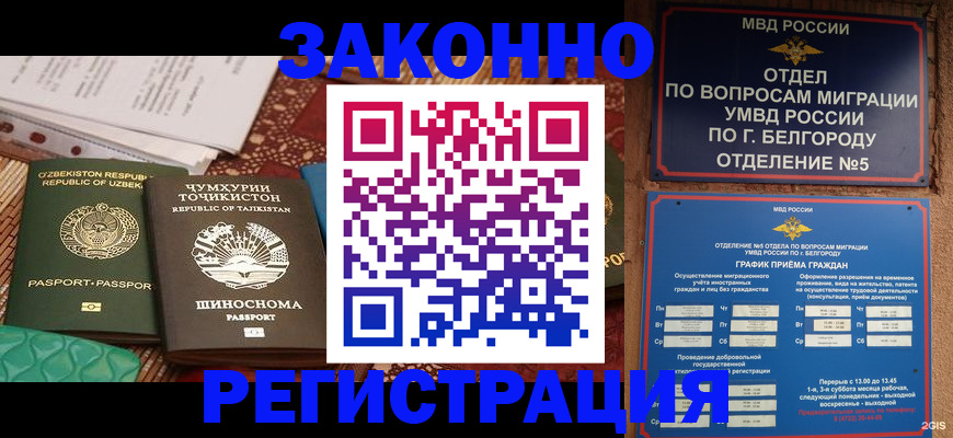 прописка паспорт в Туле